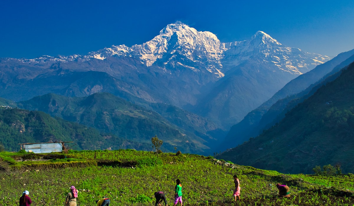 Villagers working terraced fields below Annapurna South in the foothills near Pokhara